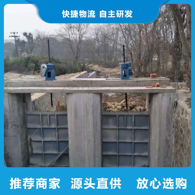 景观钢闸门实力老厂