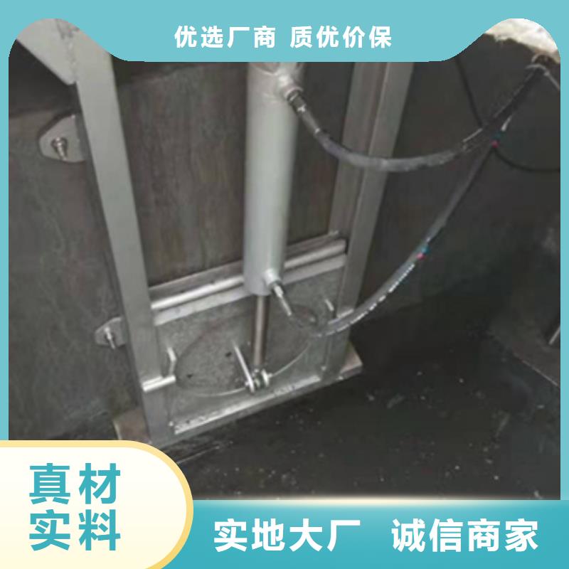 叠梁闸门【诚信服务】