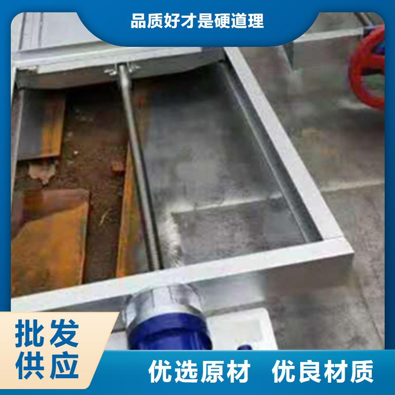 钢制平面闸门报价