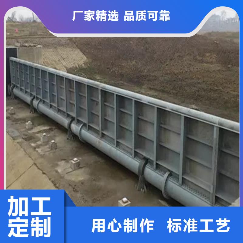 翻板闸门支持定制