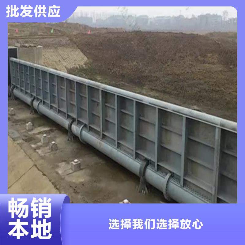 钢坝闸门生产厂家