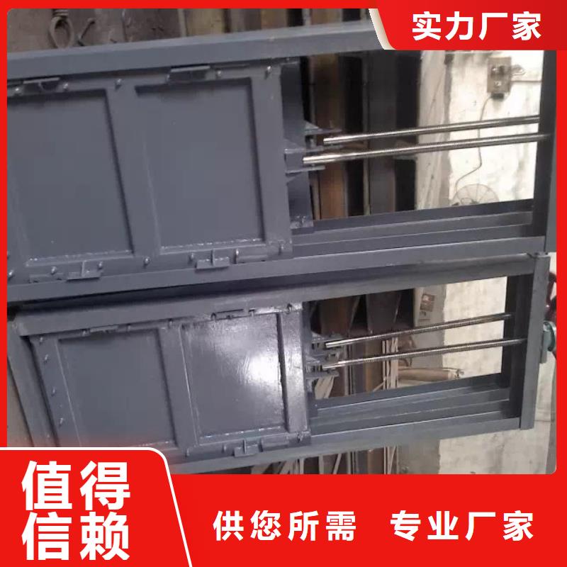 景观钢闸门实力老厂