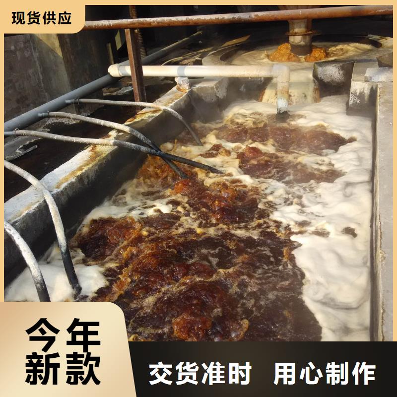 醋酸钠来厂考察