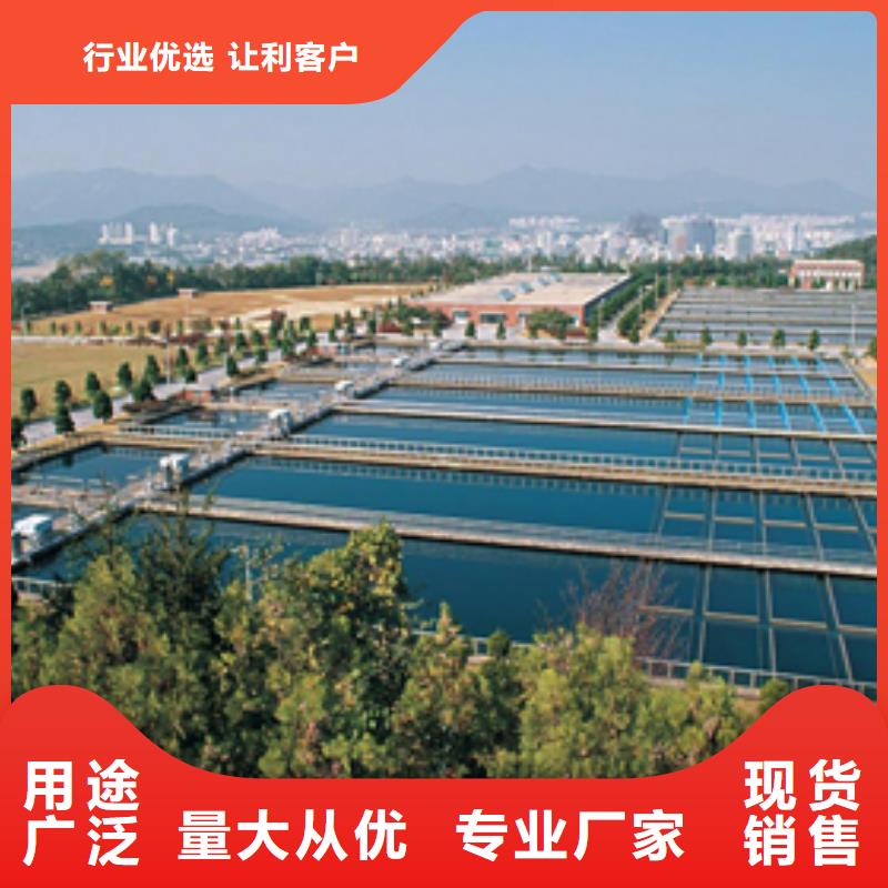 醋酸钠来厂考察