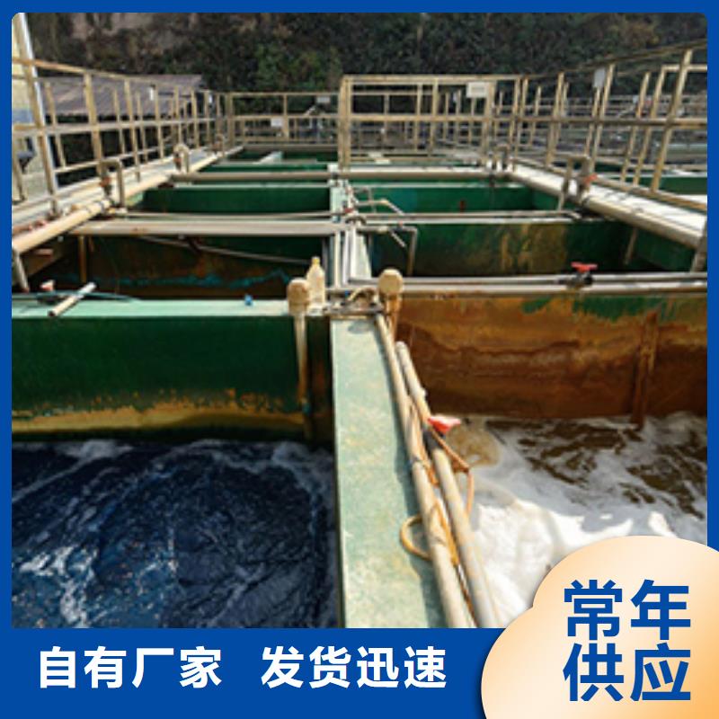 阳离子聚丙烯酰胺-【复合碳源】实力工厂