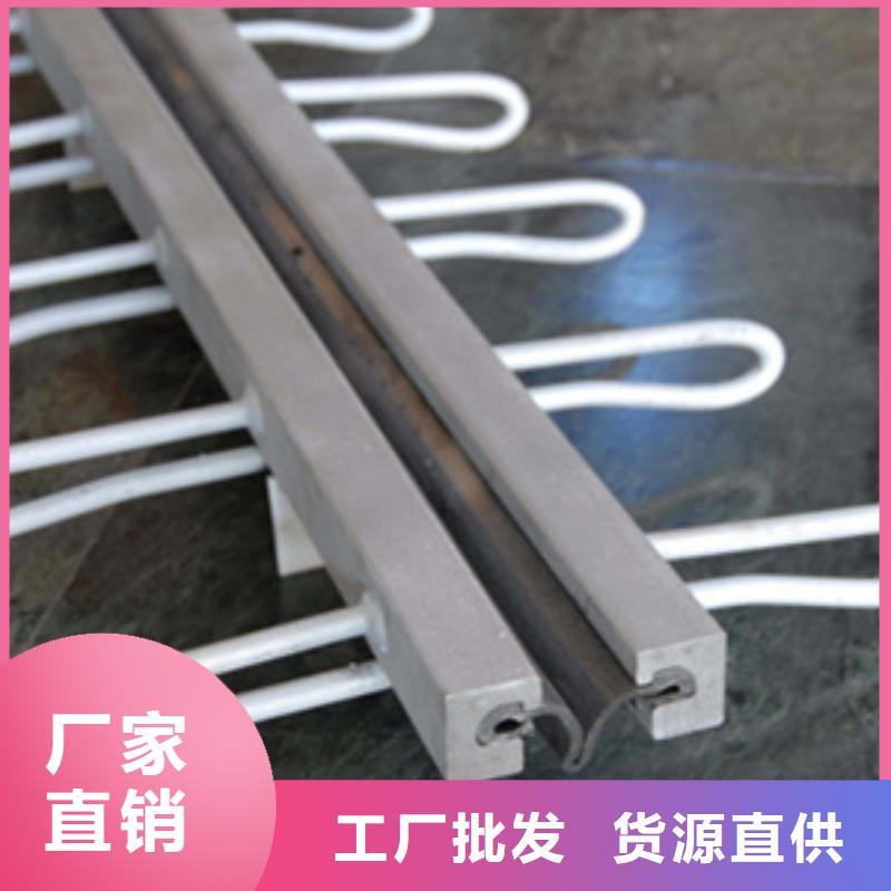桥梁伸缩缝装置C型