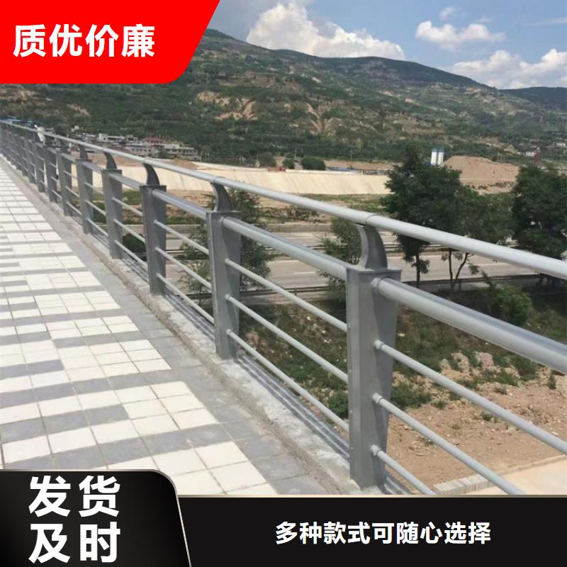 喷漆河道栏杆-多年大厂