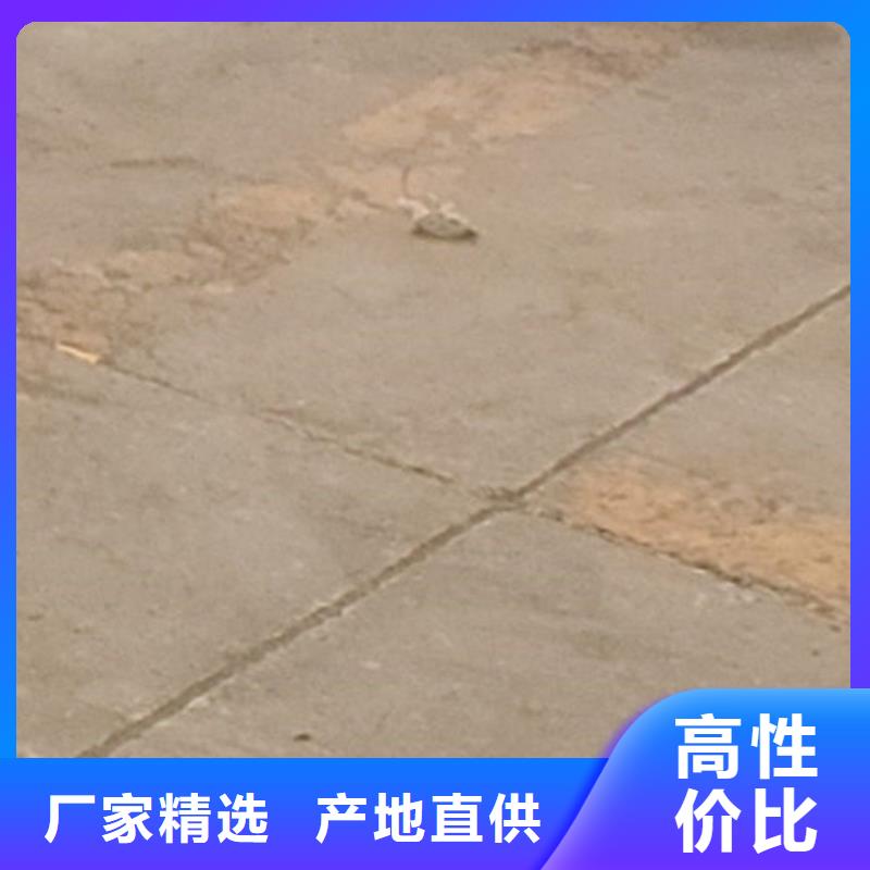 护栏,304不锈钢复合管实力见证