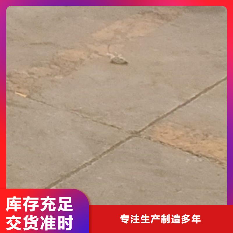  护栏真实拍摄品质可靠