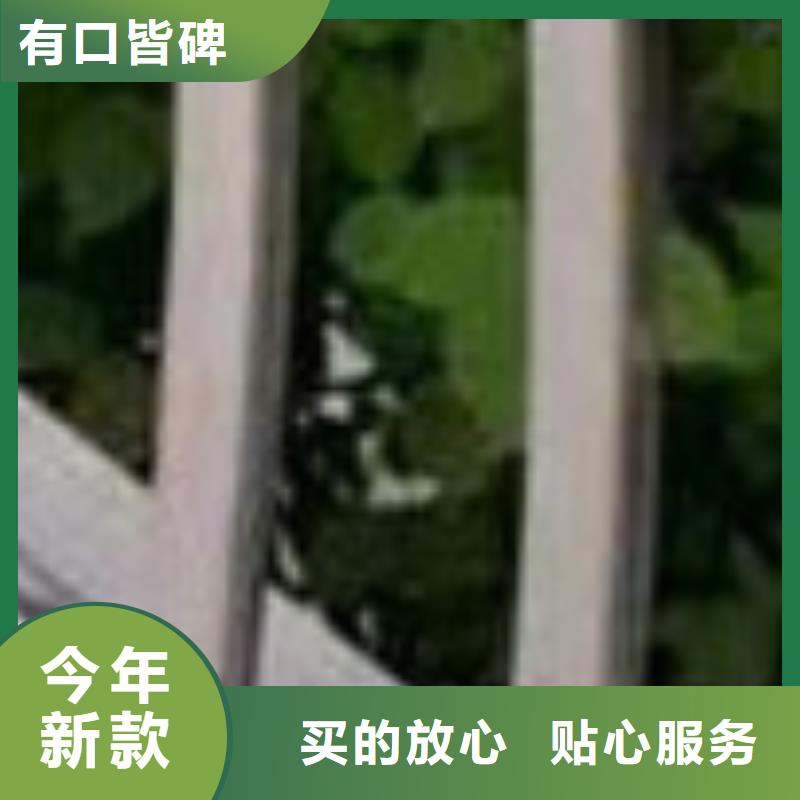  护栏真实拍摄品质可靠