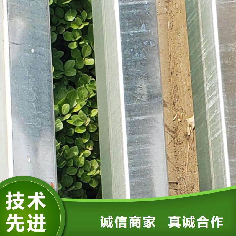 道路景观护栏产品类型多