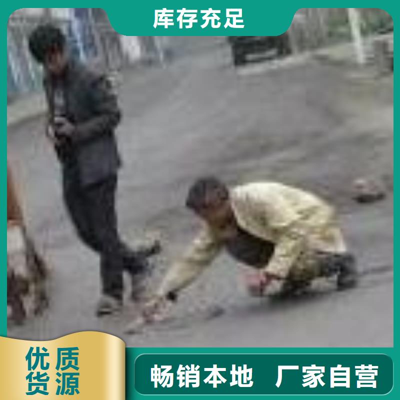 水泥修补料厂家联系方式