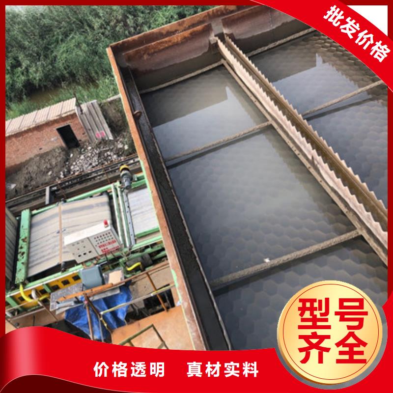 孢子生物聚焦剂老品牌