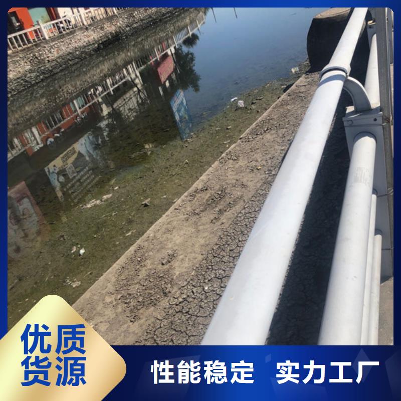 孢子生物聚集剂厂家价格便宜