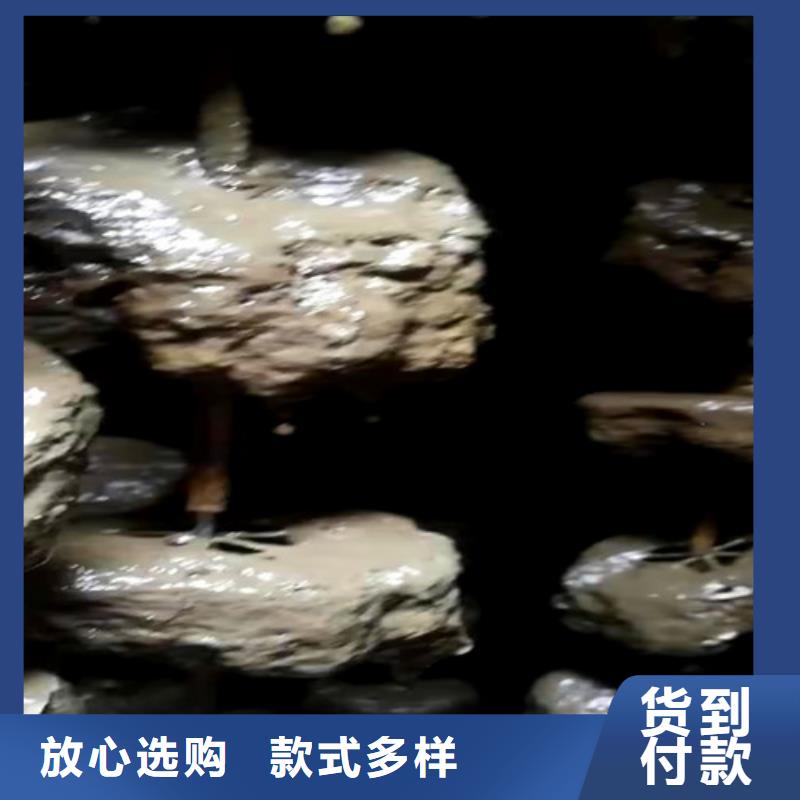 一体化生活污水处理设备报价在线咨询