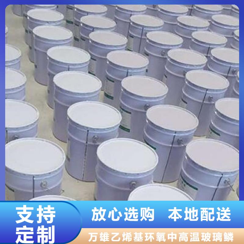 重防腐玻璃鳞片胶泥厂家