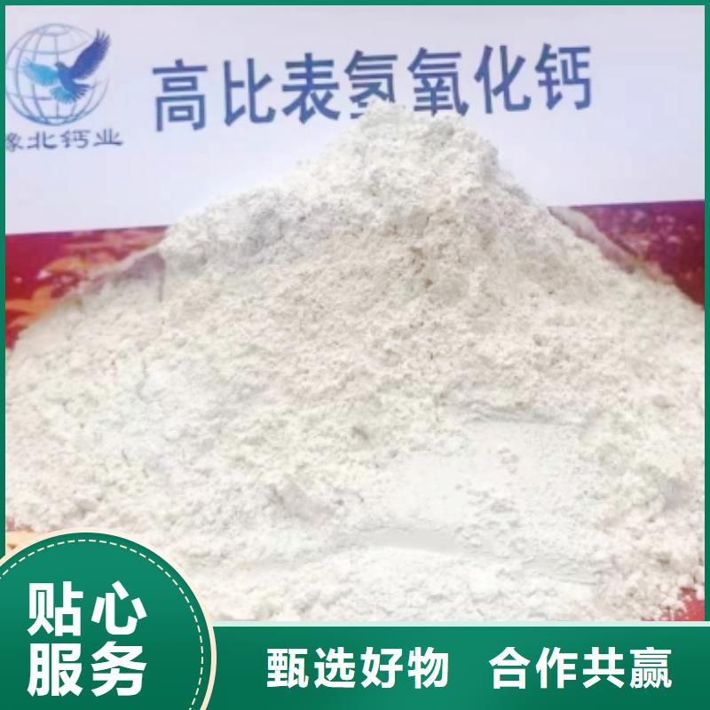 高比表面积氢氧化钙高性价比