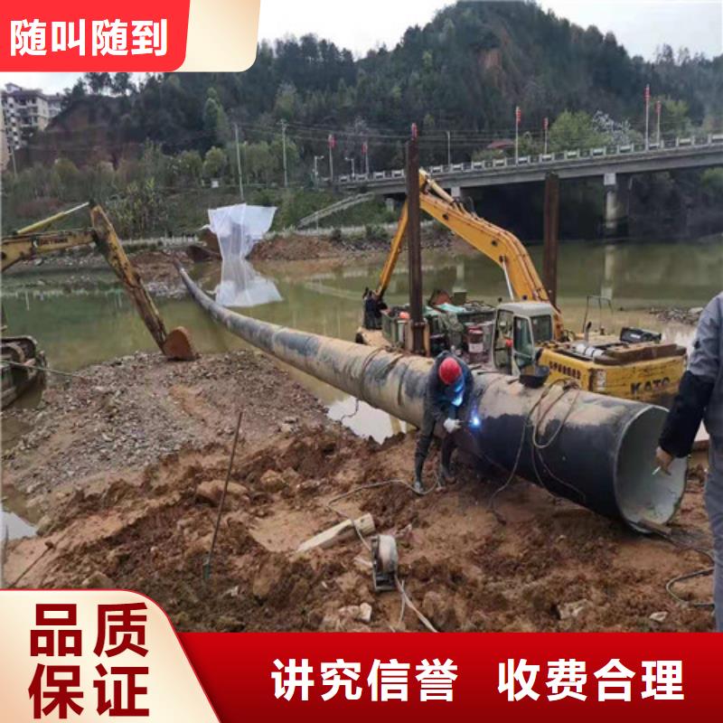 蛙人服务公司实力雄厚2025已更新
