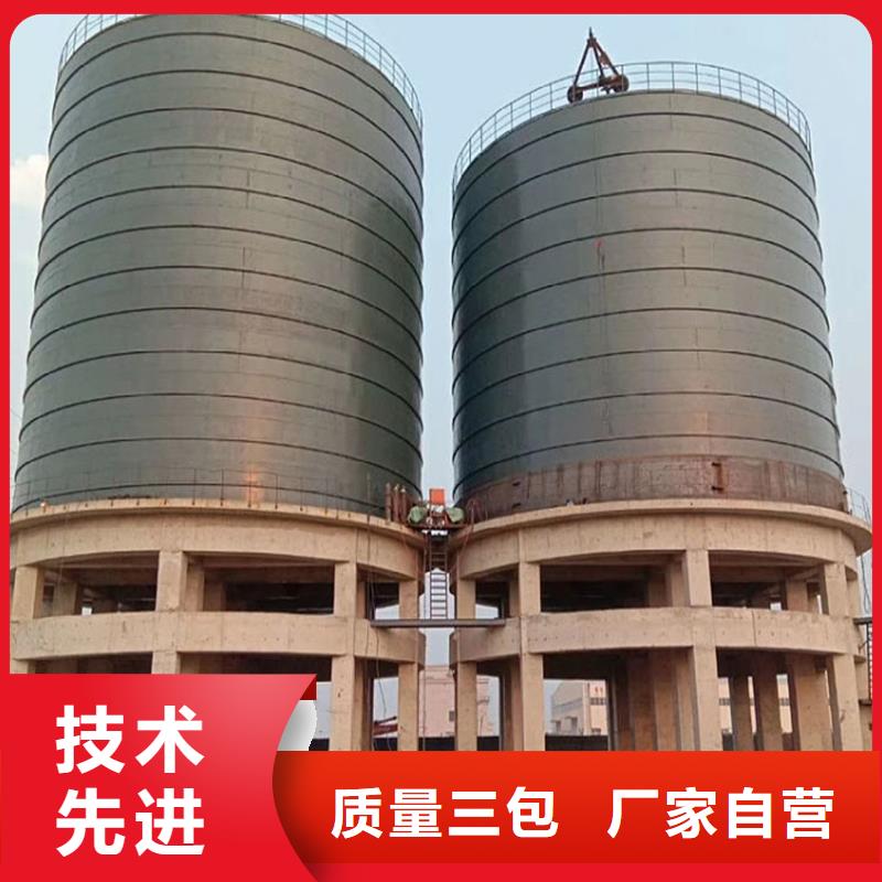 儋州市粉煤灰钢板库施工