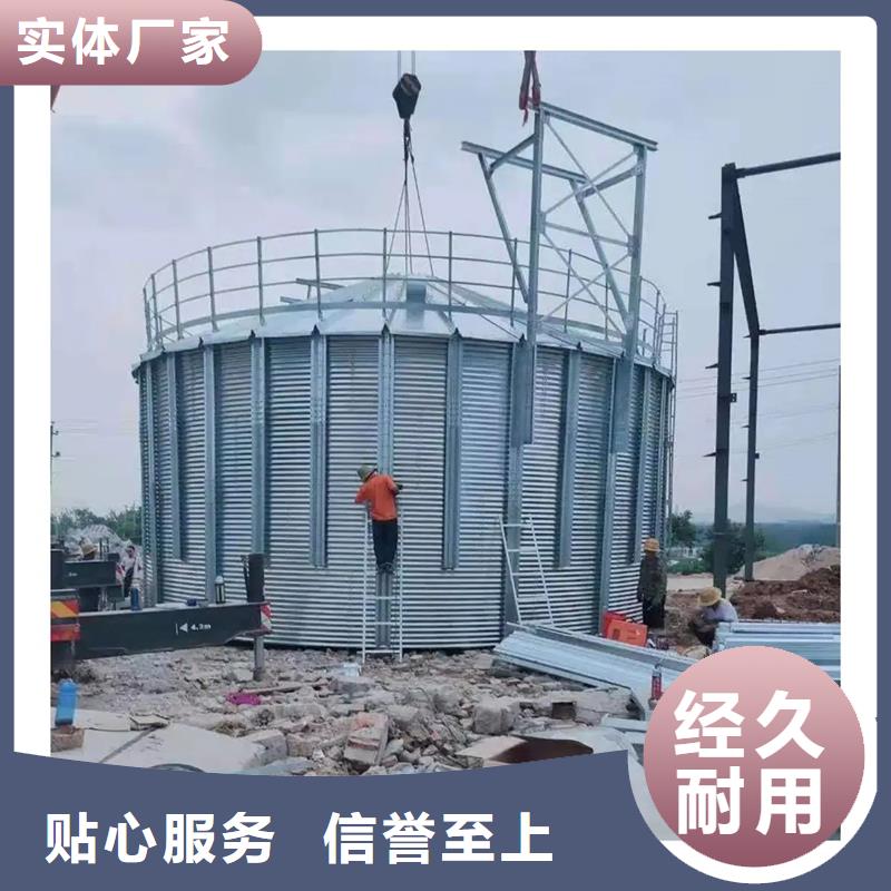 大型立式粮食筒仓厂家-交期短