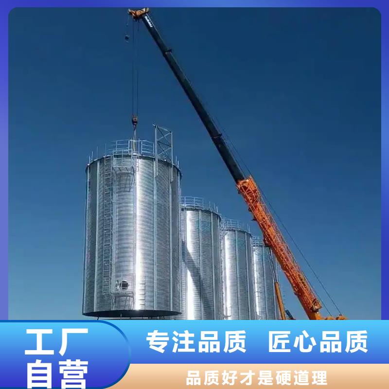 大型立式粮食储存仓厂家-0元拿样
