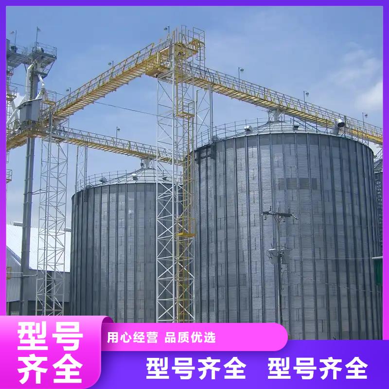 800吨玉米钢板仓支持非标定制
