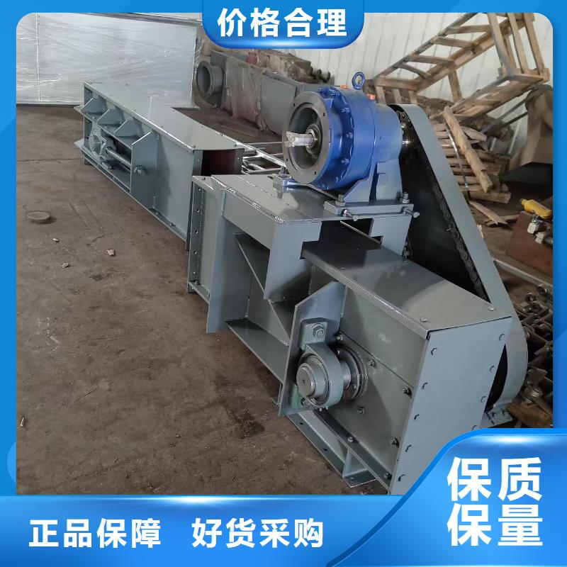 板链式斗式机价格实力老厂