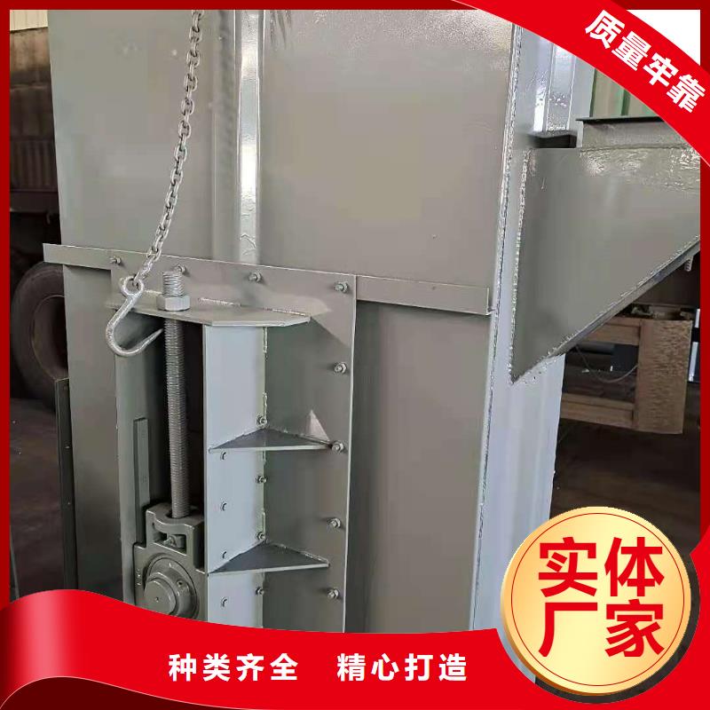 TH315环链斗式机为您服务