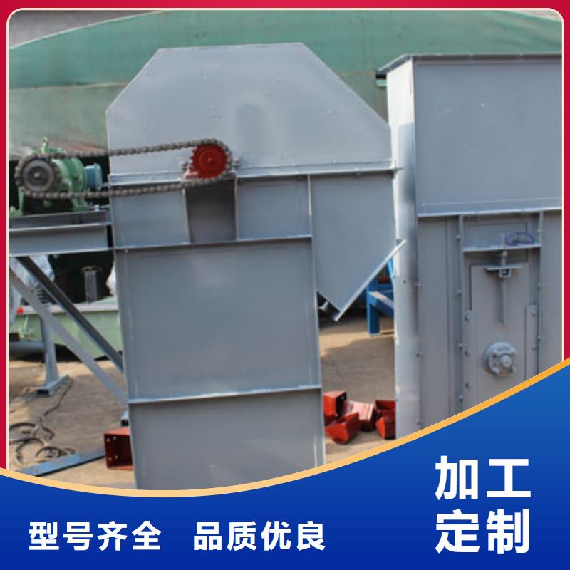 TH圆环链型斗式机价格材质齐全