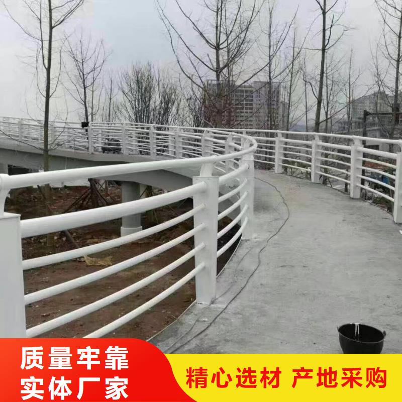 河道护栏您身边的厂家