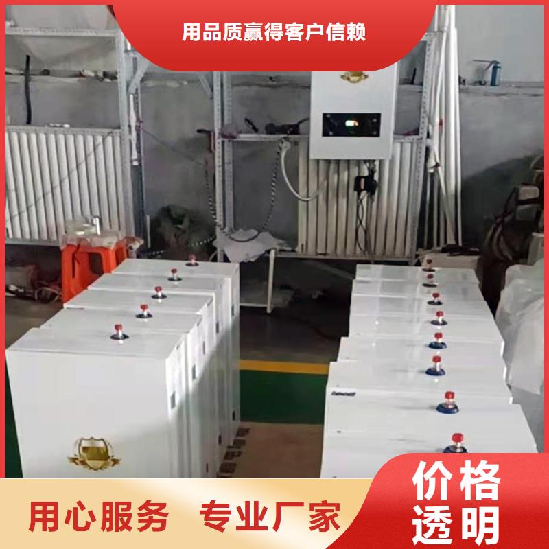 直热式电采暖炉生产厂家