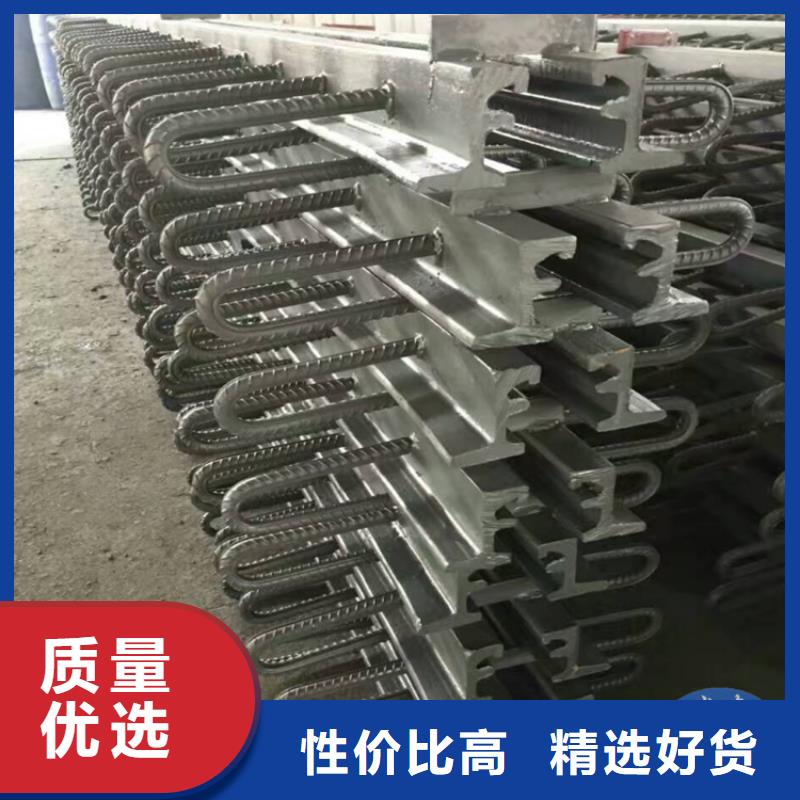 DSSF-160型桥梁伸缩缝-DSSF-160型桥梁伸缩缝图文介绍