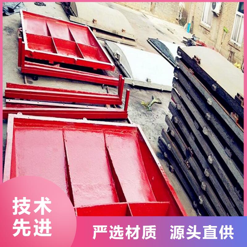 镶铜铸铁闸门源头厂家