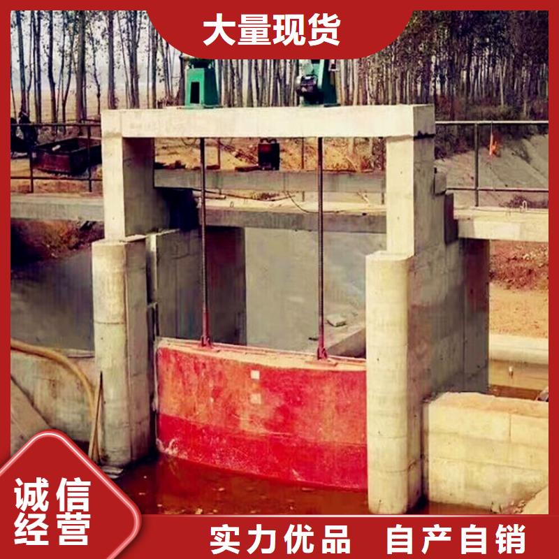 平湖电动启闭机批发