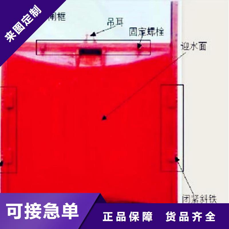 武侯平面铸铁闸门欢迎电询