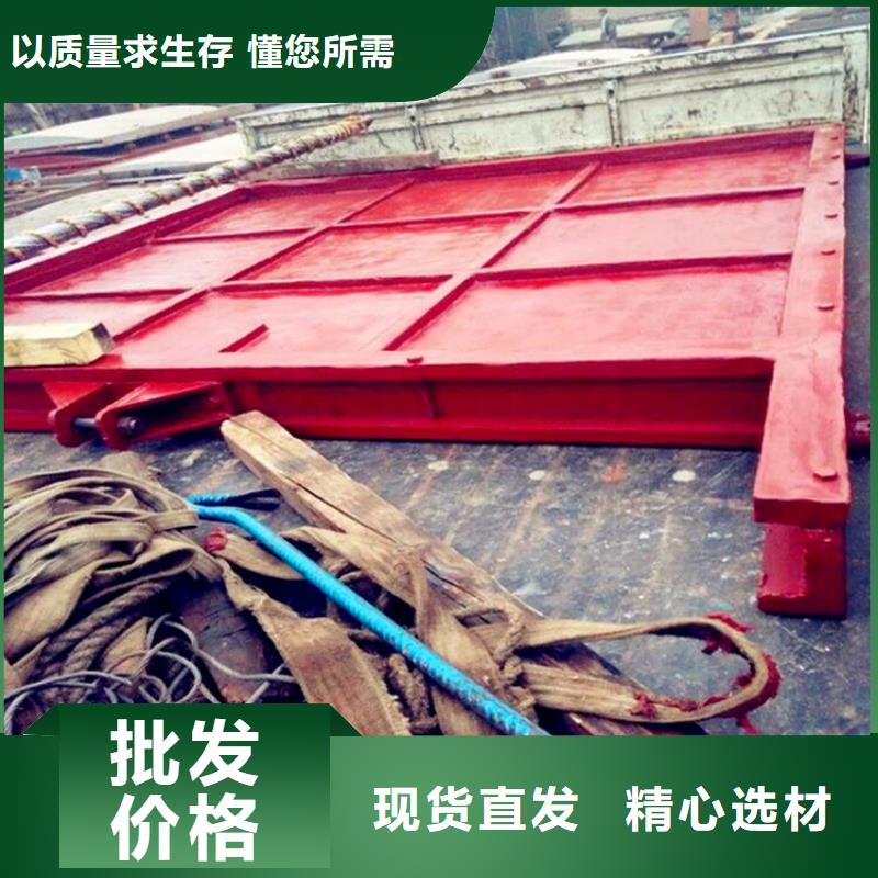 智能闸门工厂直销