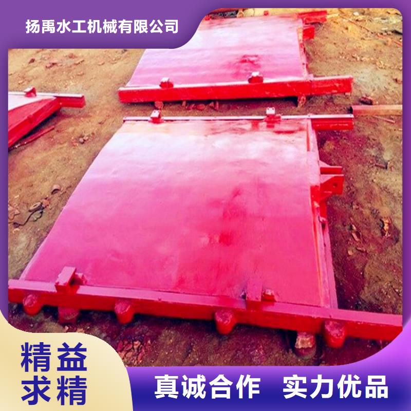 镶铜闸门实体大厂