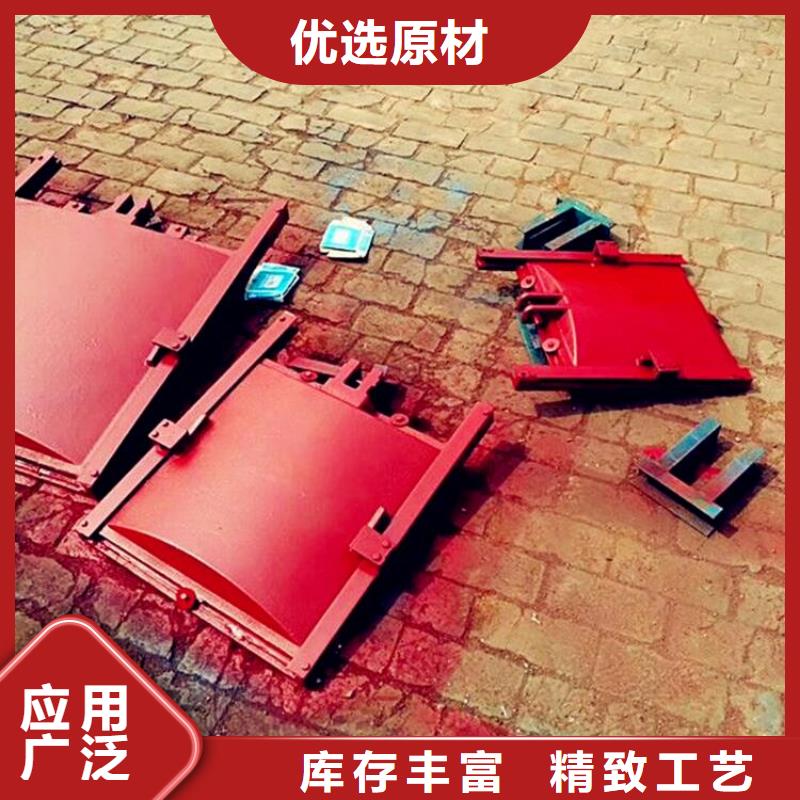 DN800铸铁镶铜闸门厂家