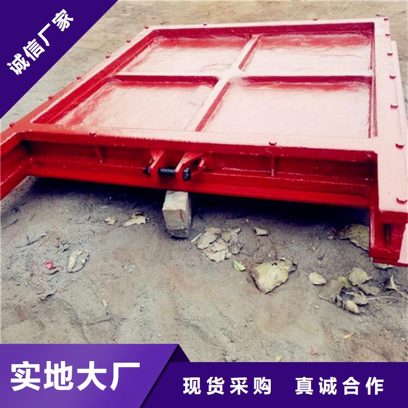 铸铁镶铜闸门型号齐全