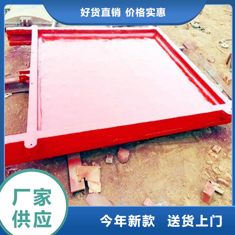 一体式闸门批发价