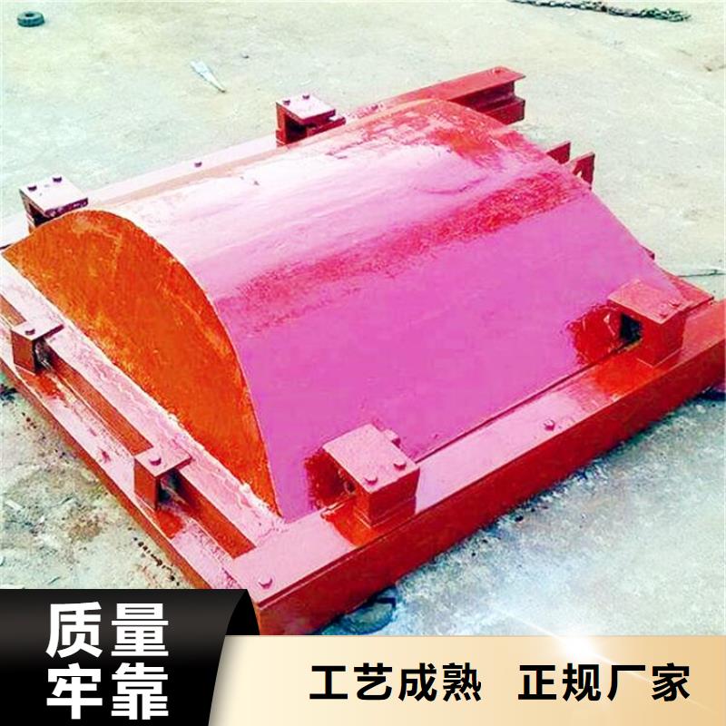 一体式闸门批发价