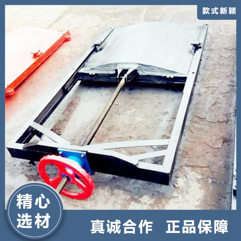 镶铜铸铁闸门现货供应