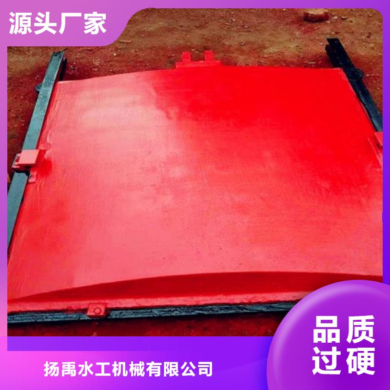 葵涌街道一体式闸门品质保障