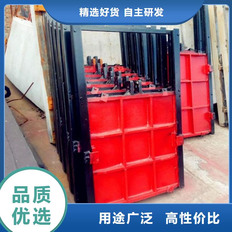 铸铁闸门讲信誉保质量