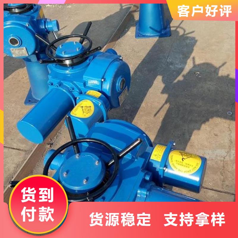LQD50KN手电两用螺杆式启闭机库存充足