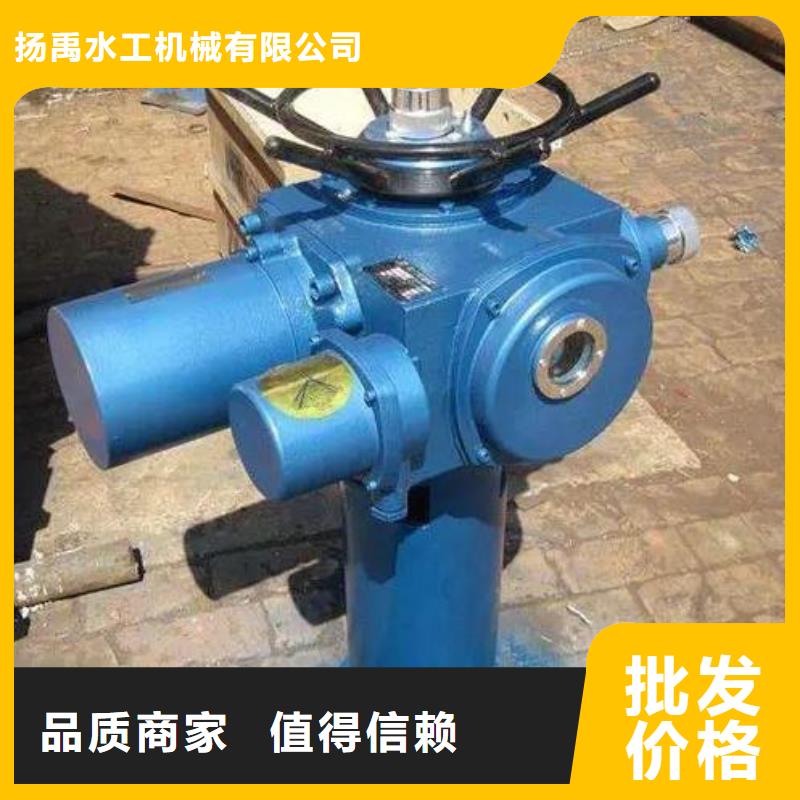 QL50KN螺杆启闭机施工团队