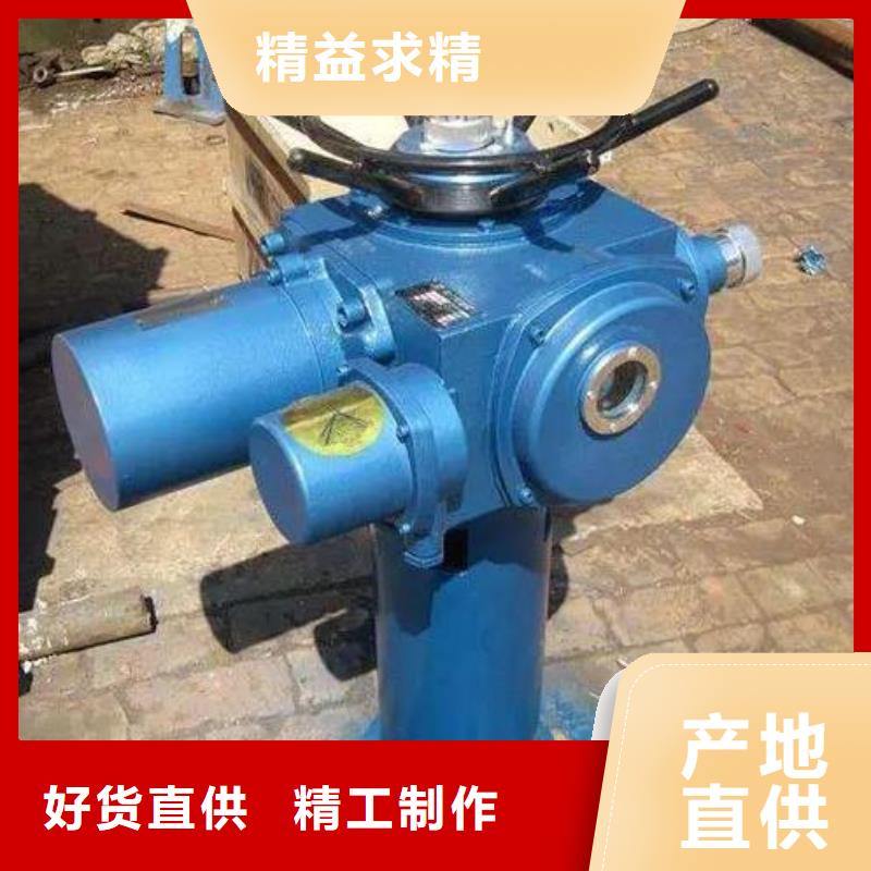 电动启闭机品质保障