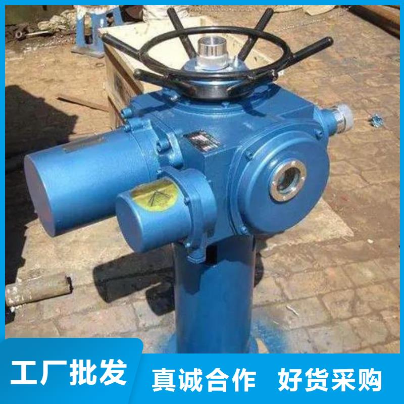 QL50KN螺杆启闭机售后无忧