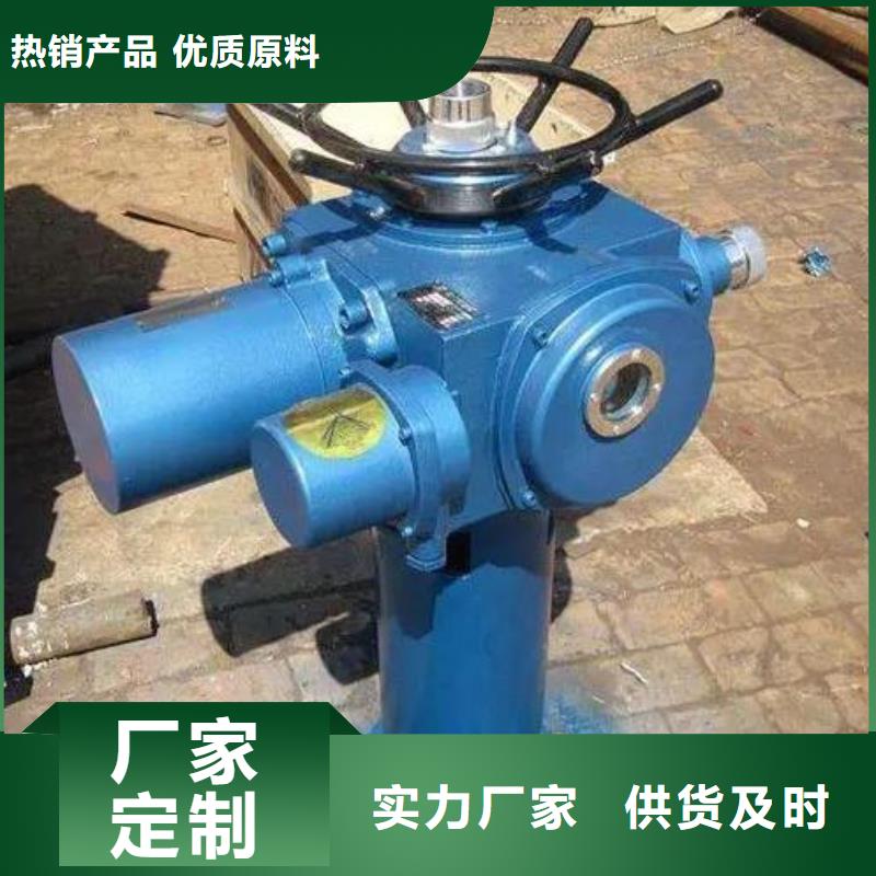 10吨手电两用螺杆式启闭机品牌厂家河北扬禹水工机械有限公司