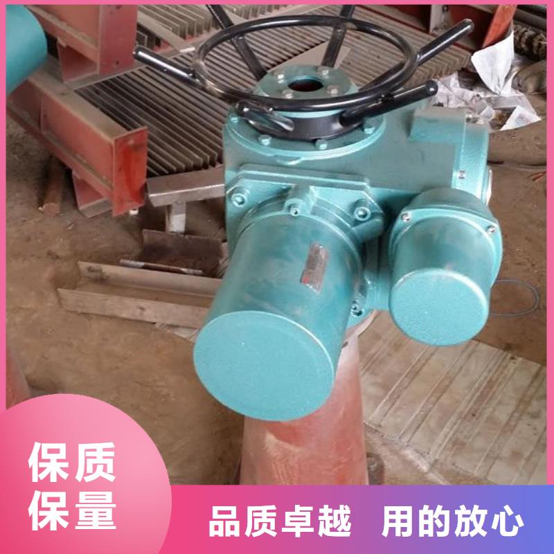 手摇式螺杆启闭机来图定制